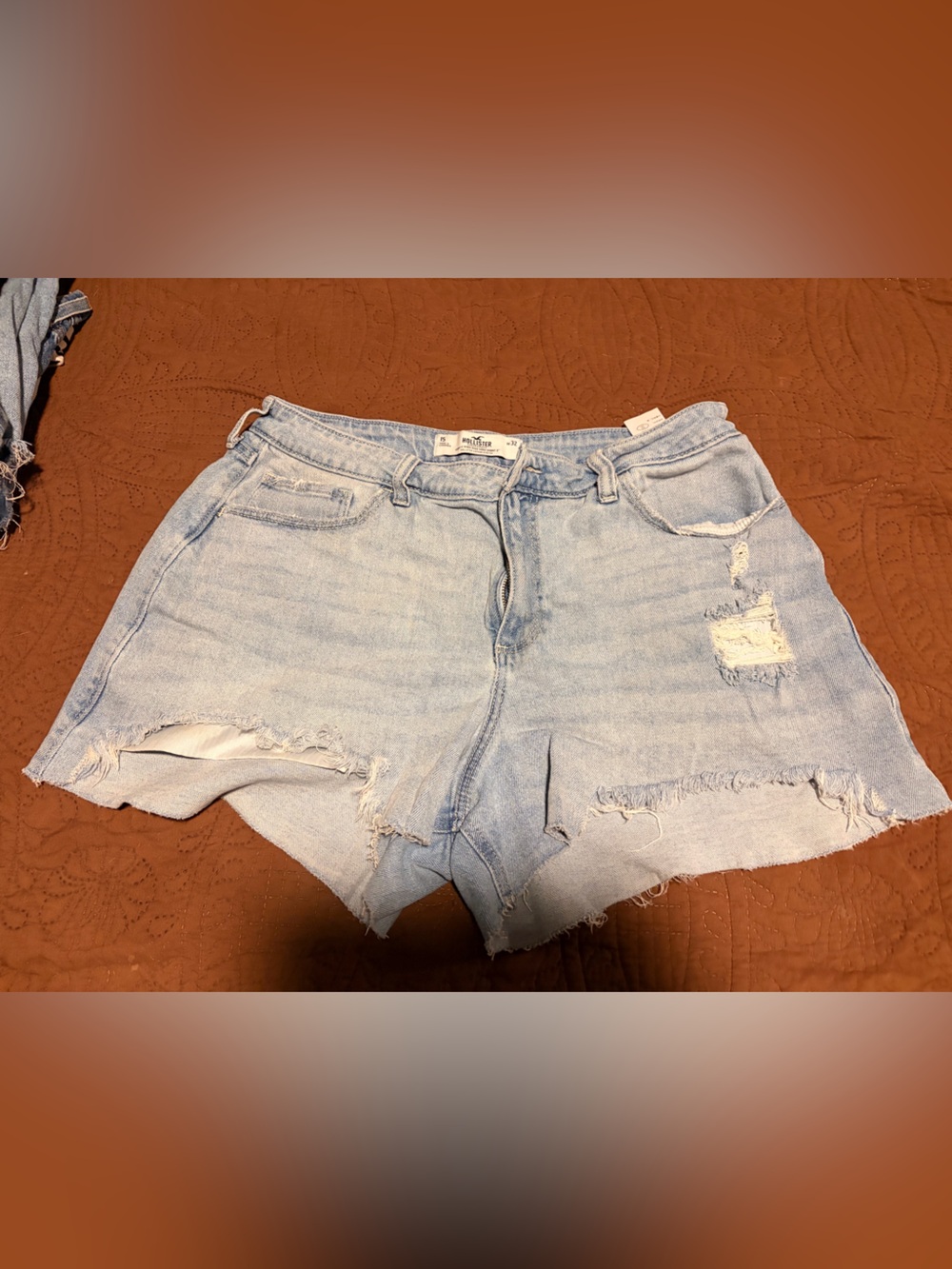 Hollister Pale Blue Ripped Denim Cutoff Shorts